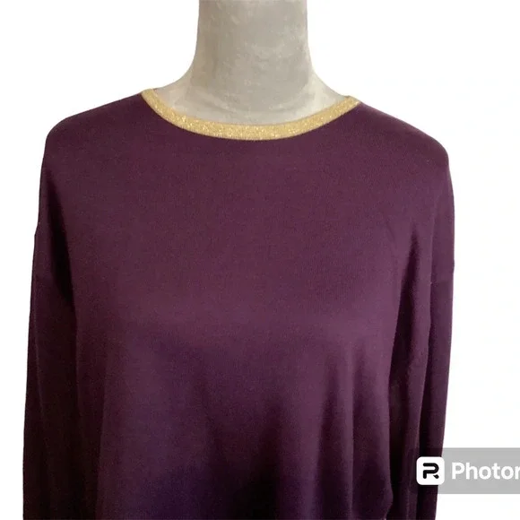 Causal Corner Sweater Metallic Trim Classic Timeless 90s Basic Womens SZ XL - Picture 2 of 8